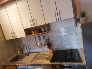 Η κουζίνα ή μικρή κουζίνα στο Apartments Virena