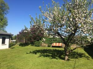 滨湖克拉科Ferienhaus am See auf großem Grundstück, Kaminofen的院子里白花树