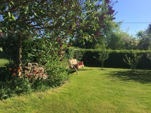 滨湖克拉科Ferienhaus am See auf großem Grundstück, Kaminofen的种有长凳、一棵树和鲜花的花园