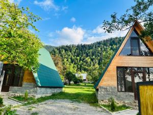 a house with a green roof and a forest at Borjomi Twins in Sadgeri