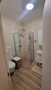 a bathroom with a shower and a toilet at Studi in Divšići