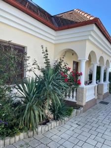 a white house with plants in front of it at Ferienwohnungen Hauerperle in Neudörfl +2 photos