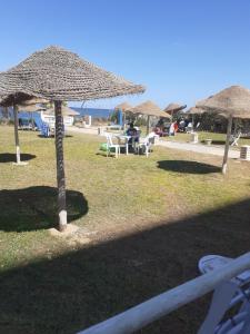 Afbeelding uit fotogalerij van Charmant Studio bord de mer à Sousse zone touristique in Port El Kantaoui