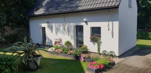 a small white house with flowers in a yard at Kölp - Wald und Mee h r in Kölpinsee