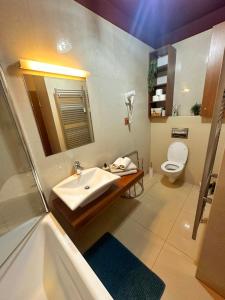 a bathroom with a sink and a toilet at Tatragolf Apartment K202 in Veľká Lomnica