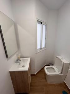 Un baño con inodoro, lavabo y espejo. en Padre Anchieta 35 - 2, en Santa Cruz de Tenerife