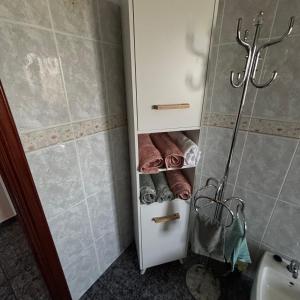 a bathroom with a shower and a cabinet with towels at Casa cómoda, amplia y tranquila in La Pedraja de Portillo +14 photos