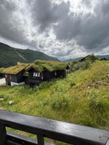 a group of huts with grass roofs on a hill at Apartment vårstølen - myrkdalen skisenter in Vossevangen