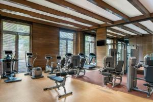 Fitness centrum a/nebo fitness zařízení v ubytování The St. Regis Langkawi