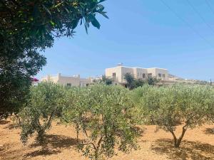 Příroda nedaleko prázdninového domu