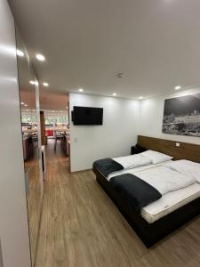 a bedroom with a bed and a flat screen tv at FeWo 236 Aparthotel Mittelberg in Mittelberg +48 photos