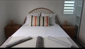 a bedroom with a white bed with two pillows at Maison cosy à Lamentin, 20m², climatisation in Lamentin