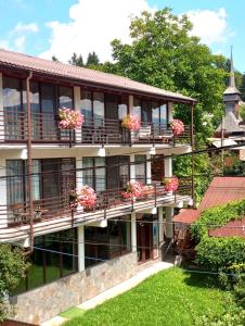 a building with flower boxes on the balconies at CASA IONUȚ in Borşa