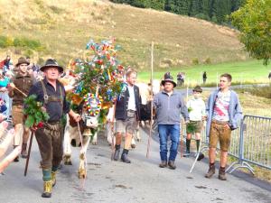 Hostia v ubytovaní Grebenzen Lodge Hirsch