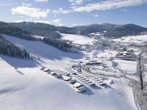Almchalet Alpenglück v zime