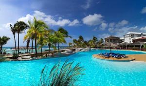 a large swimming pool with palm trees and a beach at Studio Coin Du Bonheur in Saint-François