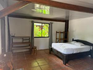 Foto dalla galleria di Playa Negra Brewing Beachfront Hotel a Puerto Viejo