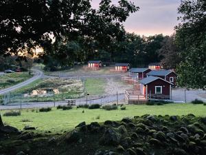 a group of cottages in a field with a road at Ulvereds Hjorthägn - Camp Mayfly in Ulvered