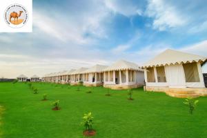 斋沙默尔Best Desert camp sam sand dunes Jaisalmer的草场上的一排帐篷