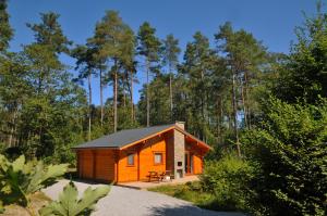 a small cabin in the middle of a forest at Abri Vert in Oignies-en-Thierache