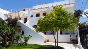 a white house with a tree in front of it at Rubini Rooms in Parikia