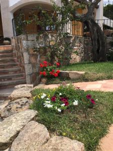 Zahrada ubytování I Mari Di Gallura Suites and Rooms