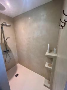 un baño con ducha y lavabo en A l'Orée des Bois, calme et nature, en Villefranche-Sur-Cher 23 fotos más