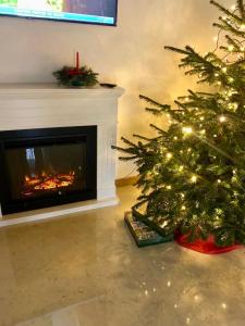 een kerstboom in een woonkamer met een open haard bij Pensiunea CUZA in Borşa
