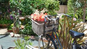 Сад в Cap d'Agde Studio - Village naturiste