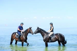 Zwei Leute reiten auf Pferden im Wasser in der Unterkunft Reitanlage Plath in Timmendorf