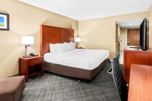 a hotel room with a large bed and a television at Comfort Inn University Area in Baton Rouge