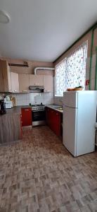 Η κουζίνα ή μικρή κουζίνα στο Apartman DAMJAN