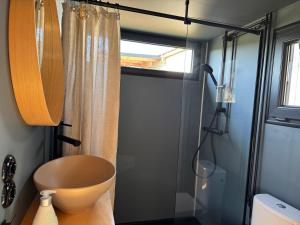a small bathroom with a shower and a toilet at Tinyhouse in der Natur in Hahn bei Marienberg