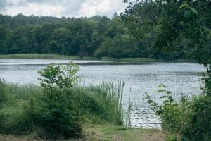 Imagen de la galería de Kungälvs Bed & Brekfast, en Kungälv 22 fotos más