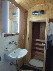 a bathroom with a sink and a shower at Mayen Farquesses Mayen de Montagne 4 personnes in Evolène