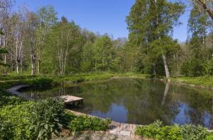 a pond with a wooden bench in a park at Vallevägen Country Retreat - Private Pond, Fireplace & Nature in Öglunda