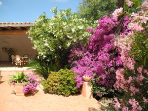 Gallery image of Hotel San Pantaleo in San Pantaleo