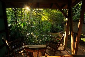 porche con 3 sillas y vistas al jardín en Suital Lodge, en Mogos