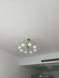Foto dalla galleria di Tonglu HECHU Laf a Shanyinling
