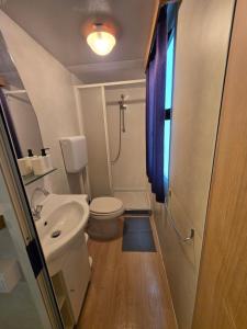 a small bathroom with a toilet and a sink at Sára Vendégház 2 in Szentes +31 photos
