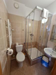 a bathroom with a shower and a toilet and a sink at Willa Helios in Władysławowo +13 photos