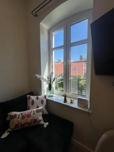 TV a/nebo společenská místnost v ubytování Apartament Frombork Łempicka