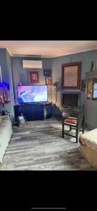 トレッツァーノ・スル・ナヴィーリオにあるAquariusの大型薄型テレビのあるリビングルーム