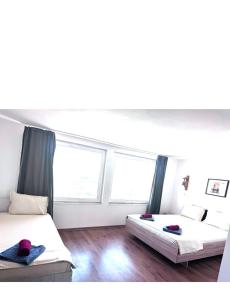 Fotografie z fotogalerie ubytování Vila Alga v destinaci Sulina