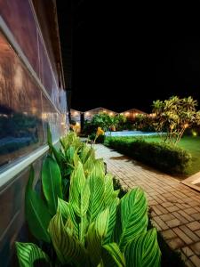 Afbeelding uit fotogalerij van The Clouds Resort Arambol, Goa in Arambol