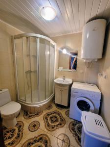 a bathroom with a shower and a toilet and a sink at Три смерічки in Beloberëzka +25 photos