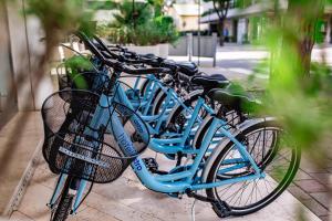 Jízda na kole v ubytování Hotel Astro nebo okolí