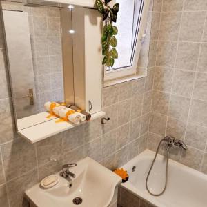 ein Badezimmer mit Waschbecken, Spiegel und Badewanne in der Unterkunft Apartments Center HSV in Novi Sad