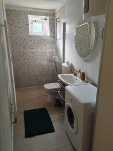 a bathroom with a washing machine and a sink at Karla in Sveta Nedelja +13 photos