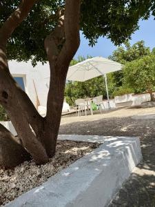 a tree with an umbrella and a table and chairs at ConiBianchi in Ostuni